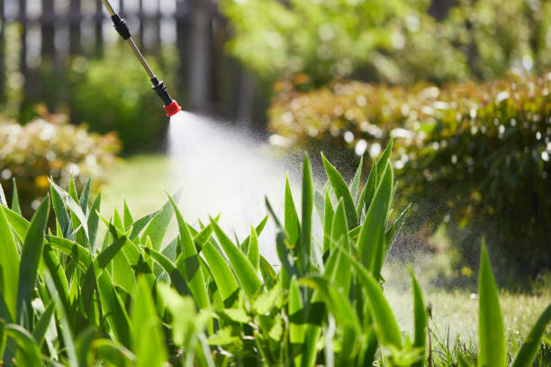 24/7 Emergency Mosquito Control experts in Quinnesec, MI